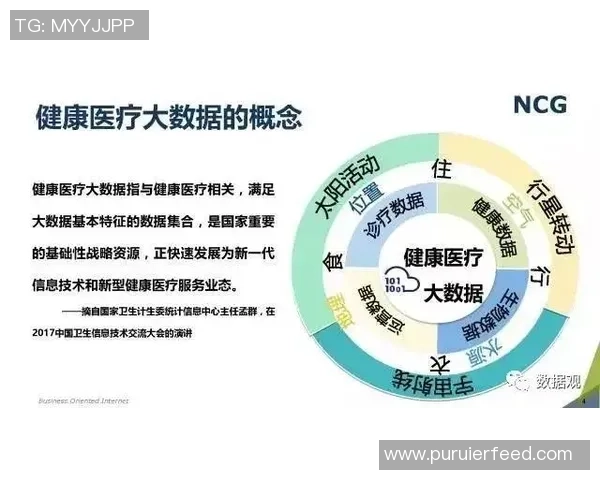 南京排球队在钻石联赛中的状态表现分析与未来展望 南京排球队在钻石联赛中的状态表现分析与未来展望