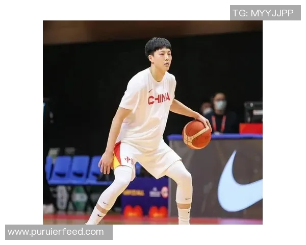 武汉篮球队球员个人能力分析与表现评估研究 武汉篮球队球员个人能力分析与表现评估研究