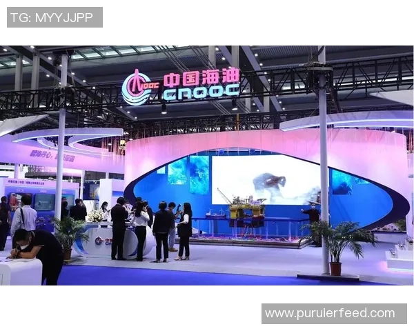 西安羽毛球队在欧锦赛中的奋斗与突破之路全景回顾 西安羽毛球队在欧锦赛中的奋斗与突破之路全景回顾