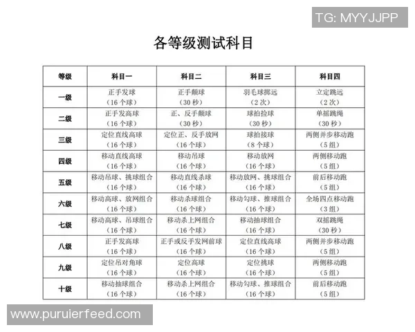 广州羽毛球队个人能力提升之路热议与展望