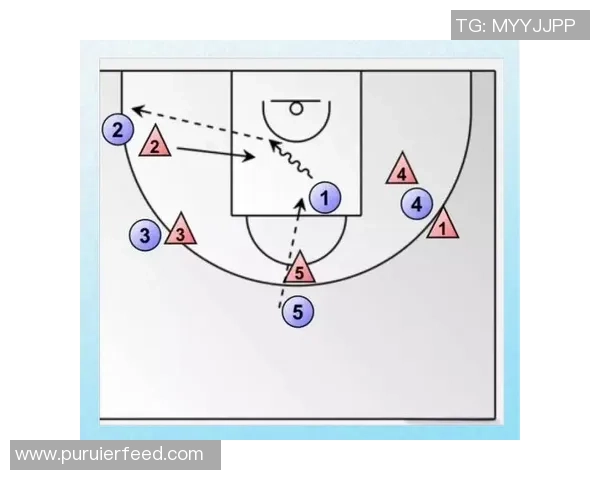 杭州篮球队反击体系解析：高效战术与团队配合的完美结合