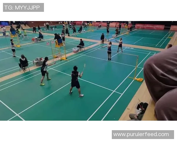 西安羽毛球队引领羽毛球战术新潮流TOP10解析 西安羽毛球队引领羽毛球战术新潮流TOP10解析