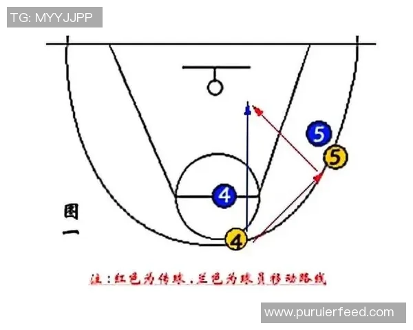 深圳篮球队快攻战术解析与战绩影响深度剖析 深圳篮球队快攻战术解析与战绩影响深度剖析