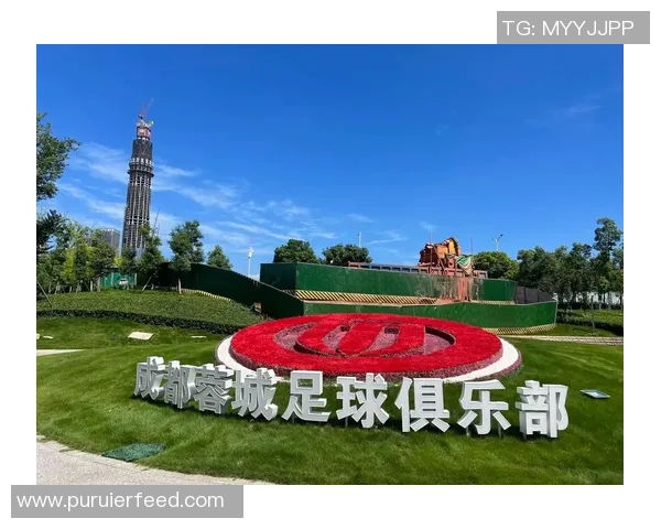 成都足球队运营策略深度分析与发展前景展望