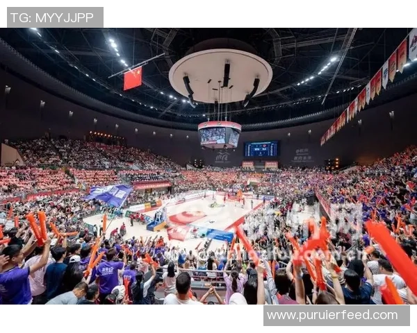 杭州篮球队在精英赛中的技术表现分析与点评