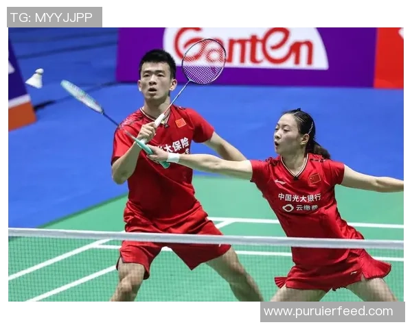 最新羽毛球团队协作榜单揭晓北京羽毛球队稳居第一名