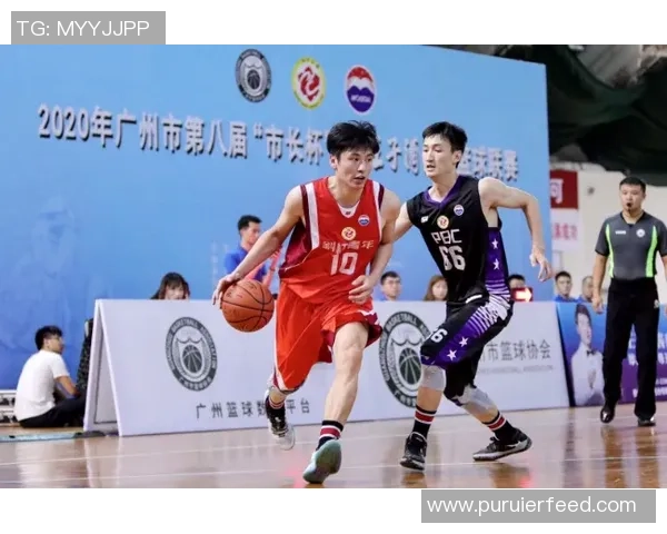 广州篮球队运营策略深度分析与市场发展前景探讨