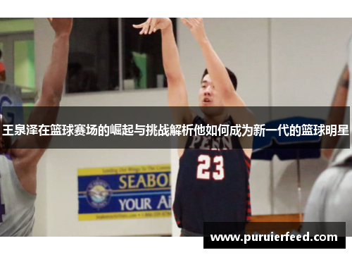 王泉泽在篮球赛场的崛起与挑战解析他如何成为新一代的篮球明星
