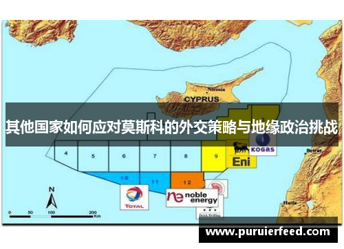 其他国家如何应对莫斯科的外交策略与地缘政治挑战