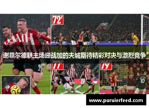 谢菲尔德联主场迎战加的夫城期待精彩对决与激烈竞争